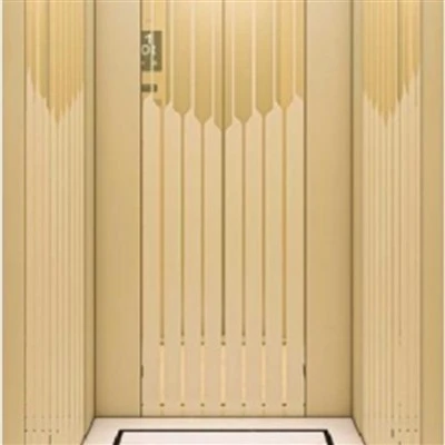 Traction reisijate lift